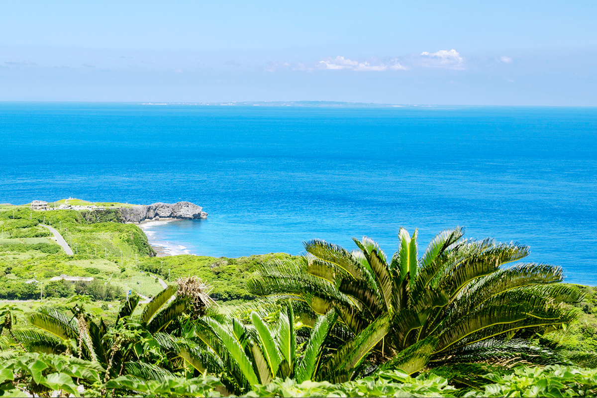 沖縄の広大な大地と海