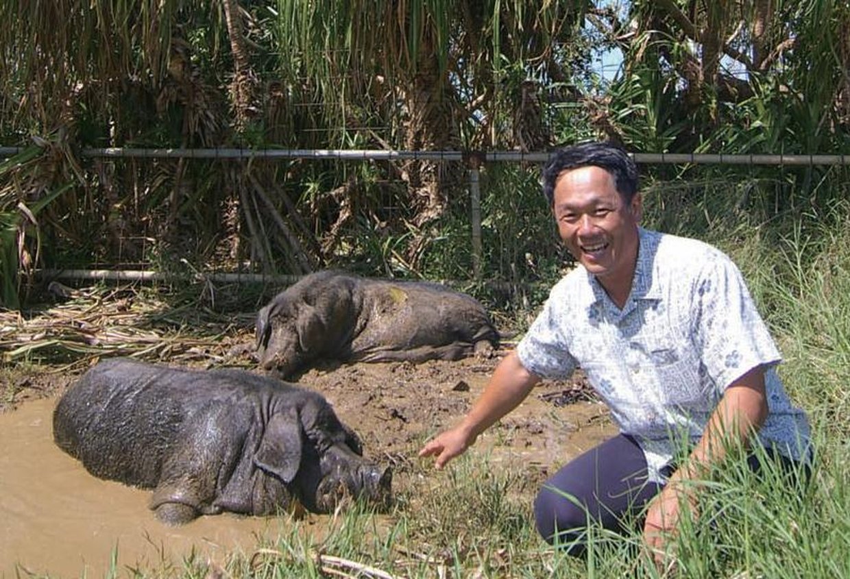 今帰仁アグー生産者の高田さん